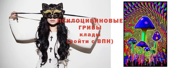 spice Вязники