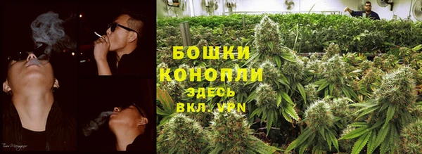 ALPHA PVP Вяземский