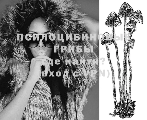 spice Вязники