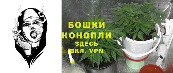 молекула духа Волоколамск