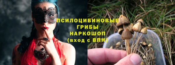 твердый Горнозаводск
