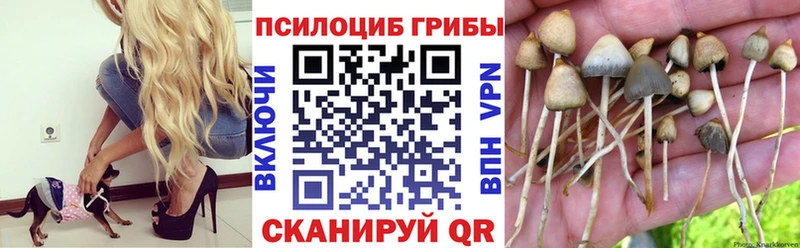 Галлюциногенные грибы Psilocybe  Джанкой 